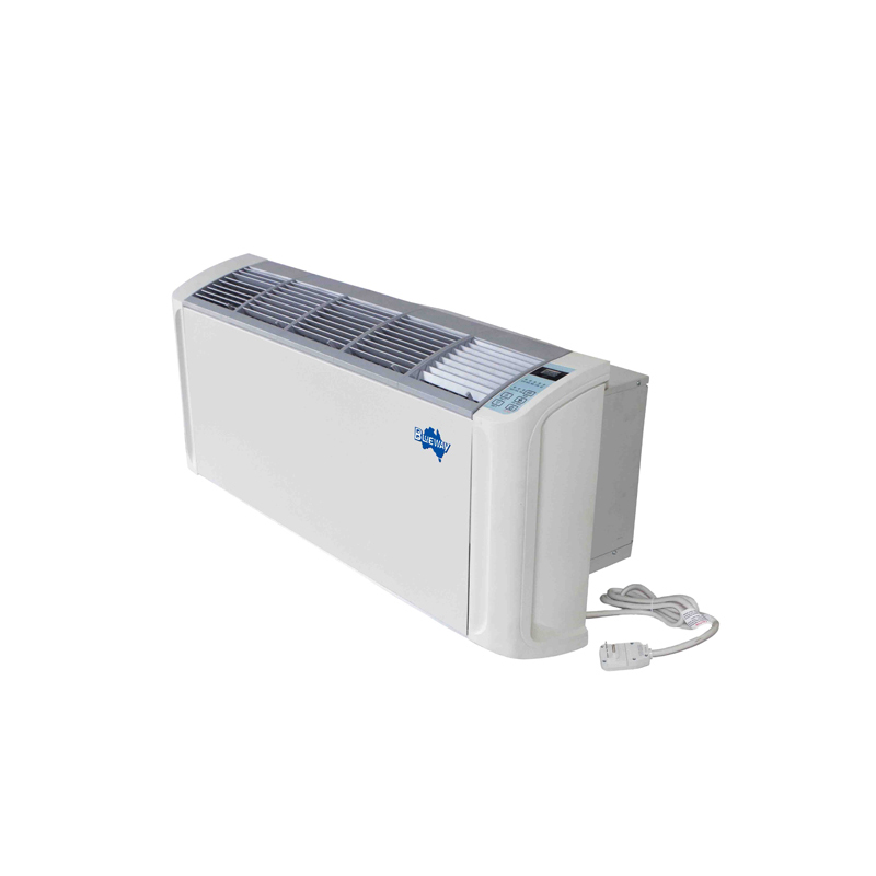 Naka-package na Terminal Air Conditioner